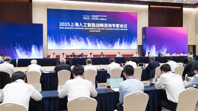 2025上海人工智能战略咨询专家会议召开,专家深入研讨建言献策